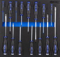 Screwdriver set in foam 15pc